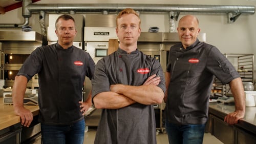 lallemand baking - Kwinkslag